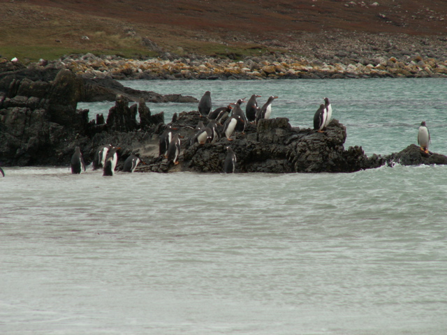 PICT0357