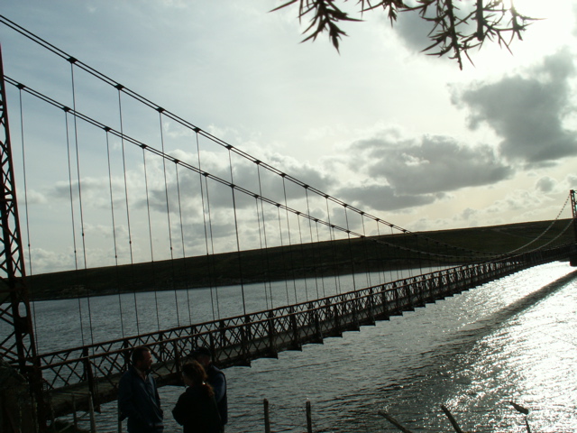 PICT0142