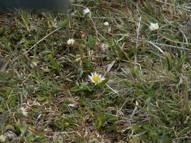 PICT0153