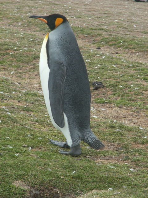 PICT0035_1