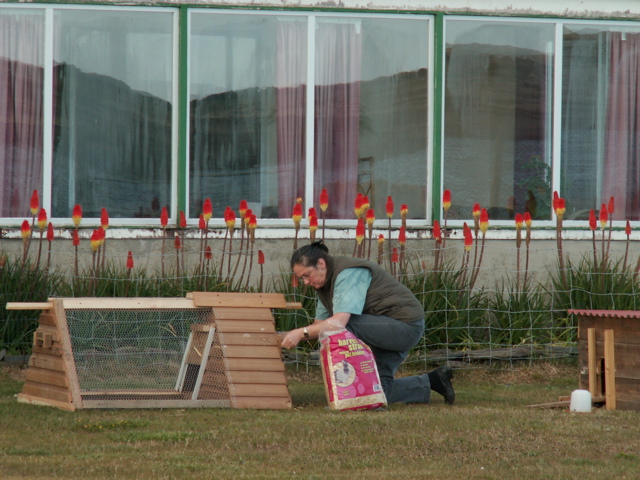 PICT0194