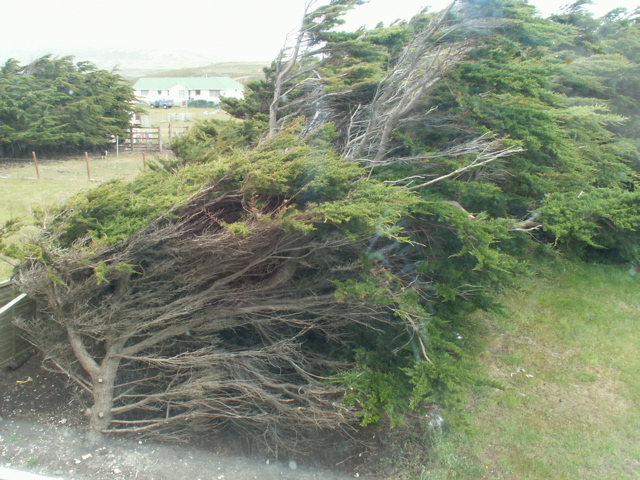 PICT0225