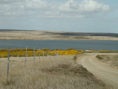 PICT0077