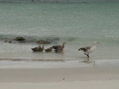 PICT0355