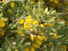 PICT0083