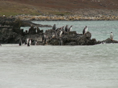 PICT0357