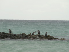 PICT0358