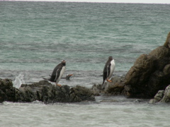 PICT0362