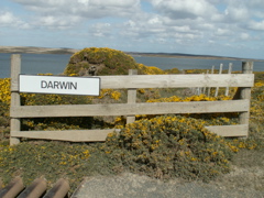 PICT0084
