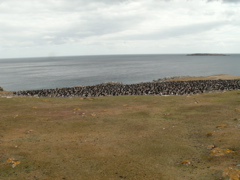 PICT0429