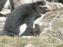 PICT0438