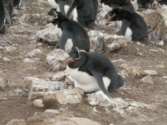 PICT0445