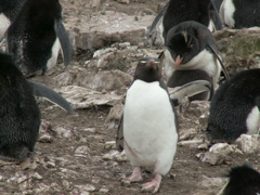 PICT0454