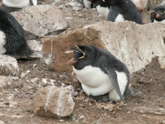 PICT0457