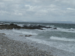 PICT0476