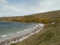 95