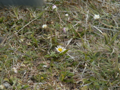 PICT0153