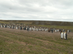 PICT0040