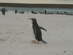 PICT0063