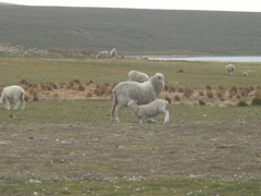 PICT0066