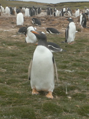 PICT0074