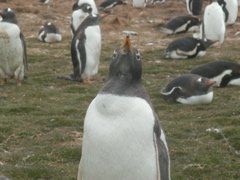 PICT0078