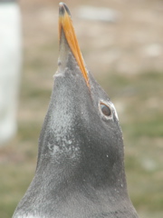 PICT0081