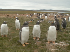 PICT0082
