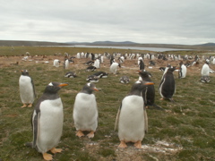 PICT0084
