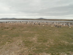 PICT0086