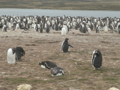 PICT0090