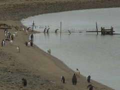 PICT0103