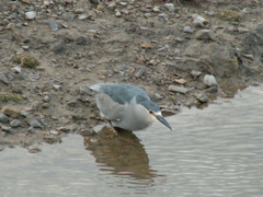 PICT0178