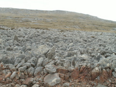 PICT0138