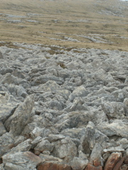 PICT0139