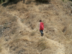 PICT0186