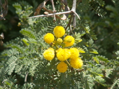 PICT0200
