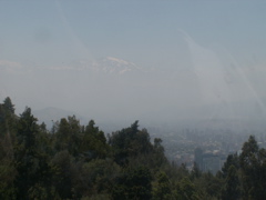 PICT0220