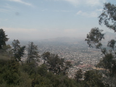 PICT0222