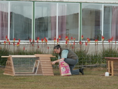 PICT0194