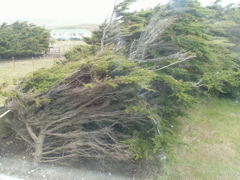 PICT0225
