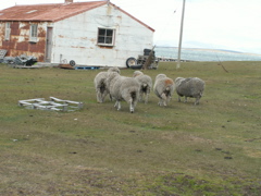 PICT0231