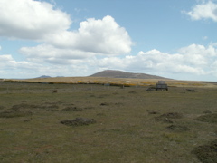 PICT0235
