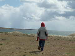 PICT0238