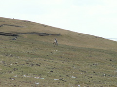 PICT0253