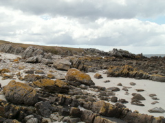 PICT0281