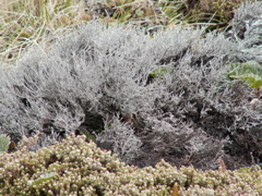 PICT0304